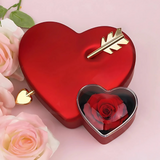 Rose Heart Gift Box with 100 Languages 