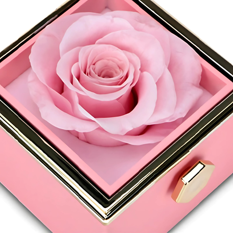 Eternal Rose Gift Box with Personalized Necklace - Lyvetta